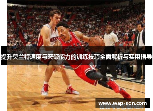 提升莫兰特速度与突破能力的训练技巧全面解析与实用指导