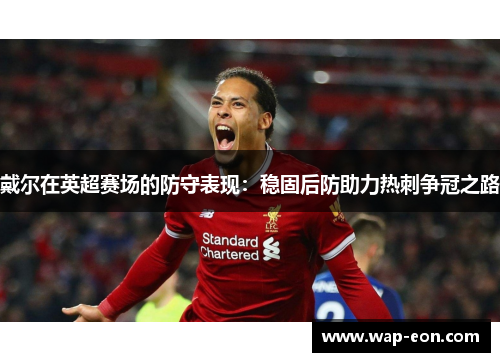 戴尔在英超赛场的防守表现：稳固后防助力热刺争冠之路