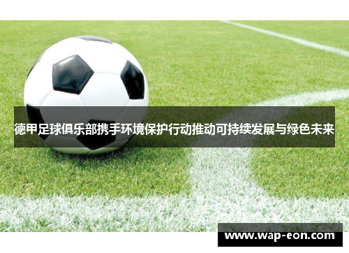 德甲足球俱乐部携手环境保护行动推动可持续发展与绿色未来