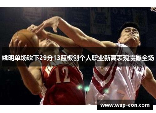 姚明单场砍下29分13篮板创个人职业新高表现震撼全场