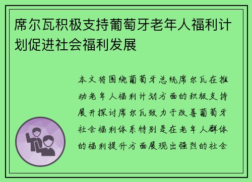 席尔瓦积极支持葡萄牙老年人福利计划促进社会福利发展