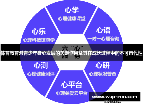 体育教育对青少年身心发展的关键作用及其在成长过程中的不可替代性