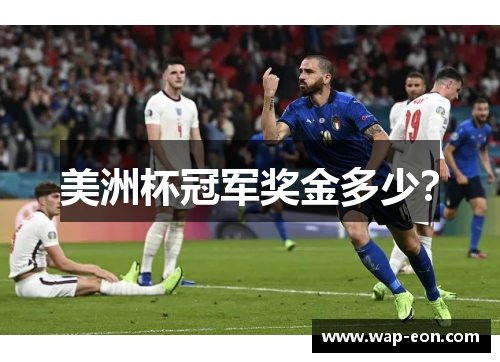 美洲杯冠军奖金多少？