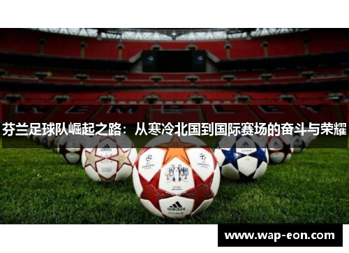 芬兰足球队崛起之路：从寒冷北国到国际赛场的奋斗与荣耀