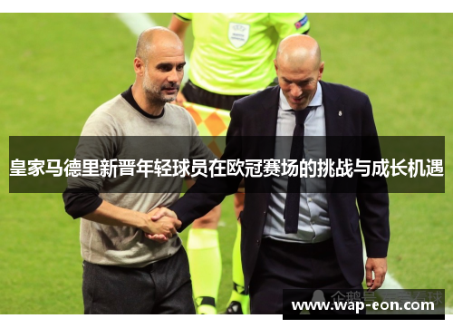 皇家马德里新晋年轻球员在欧冠赛场的挑战与成长机遇