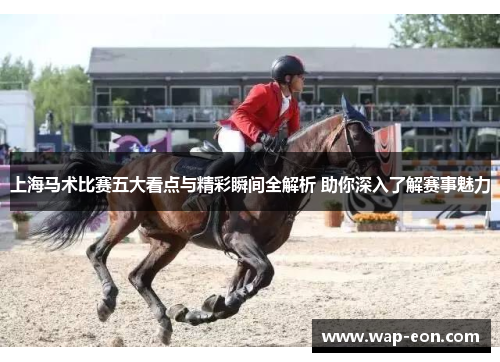上海马术比赛五大看点与精彩瞬间全解析 助你深入了解赛事魅力