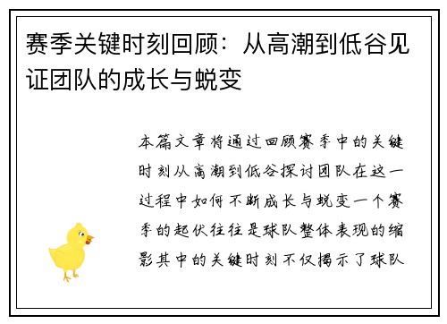 赛季关键时刻回顾：从高潮到低谷见证团队的成长与蜕变