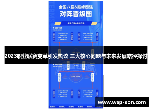 2023职业联赛变革引发热议 三大核心问题与未来发展路径探讨