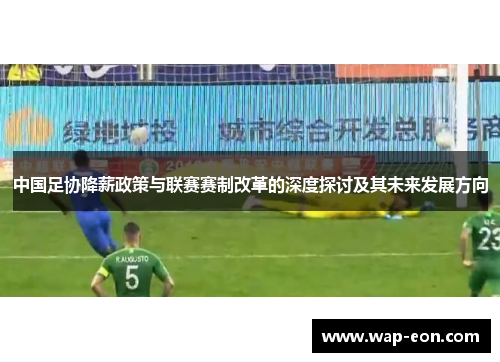 中国足协降薪政策与联赛赛制改革的深度探讨及其未来发展方向