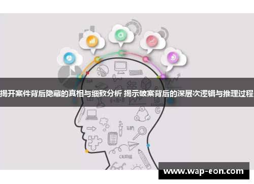 揭开案件背后隐藏的真相与细致分析 揭示破案背后的深层次逻辑与推理过程