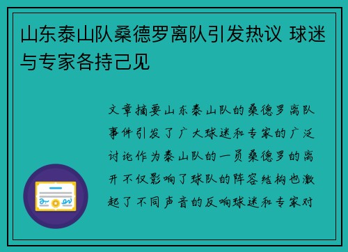 山东泰山队桑德罗离队引发热议 球迷与专家各持己见