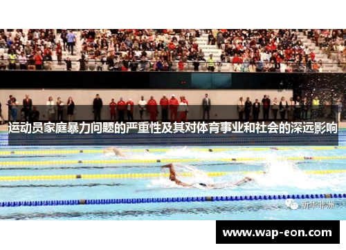运动员家庭暴力问题的严重性及其对体育事业和社会的深远影响
