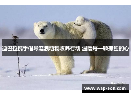 迪巴拉携手倡导流浪动物收养行动 温暖每一颗孤独的心