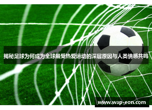 揭秘足球为何成为全球最受热爱运动的深层原因与人类情感共鸣