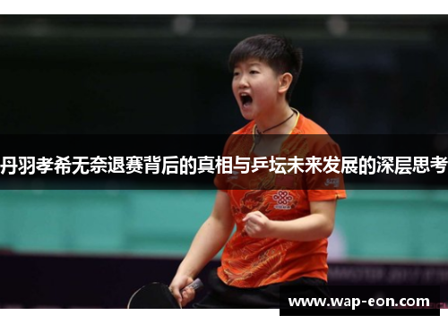 丹羽孝希无奈退赛背后的真相与乒坛未来发展的深层思考