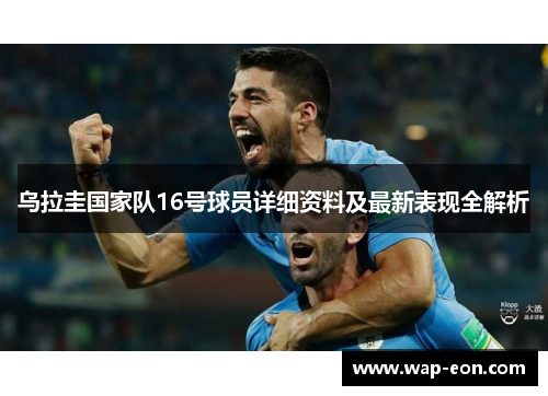 乌拉圭国家队16号球员详细资料及最新表现全解析