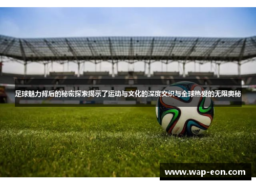 足球魅力背后的秘密探索揭示了运动与文化的深度交织与全球热爱的无限奥秘